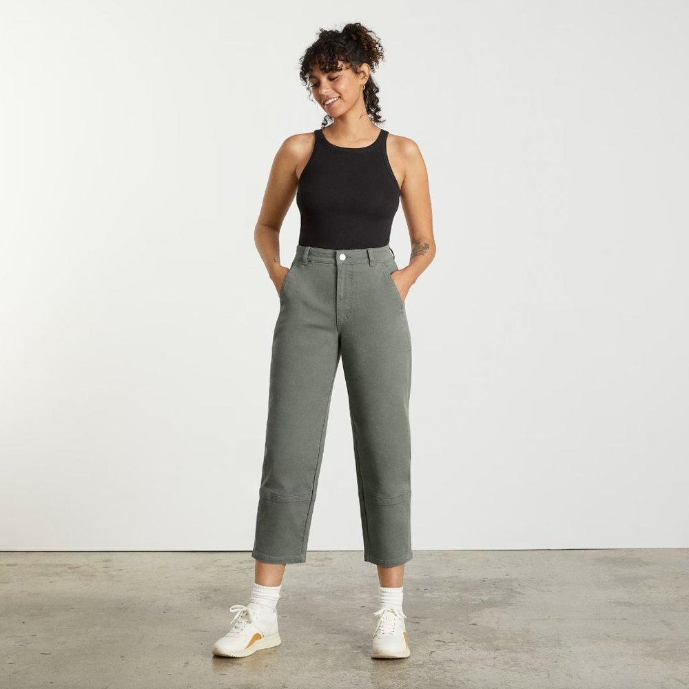 Everlane The Utility Barrel Pant